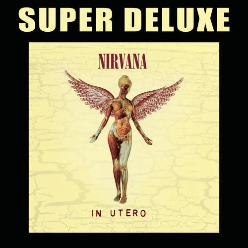 Scentless Apprentice(Album Version)-Nirvana