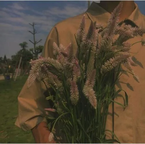 Graveyard Phonk(熱播版)-Lil kz