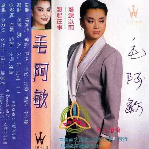 我想有個(gè)家-毛阿敏