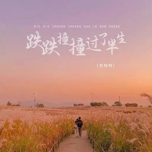 跌跌撞撞過了半生 (DJ版)-戀特特
