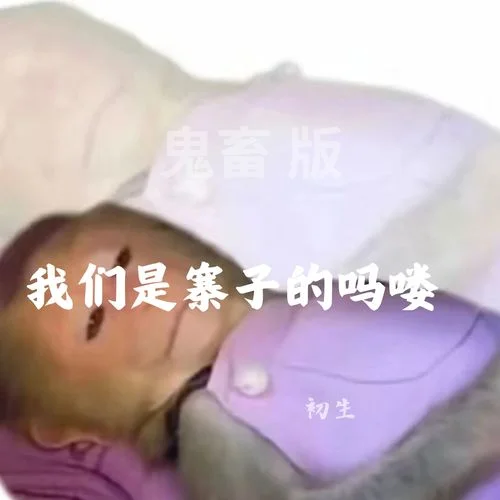 馬超快起來(lái)啊-初生