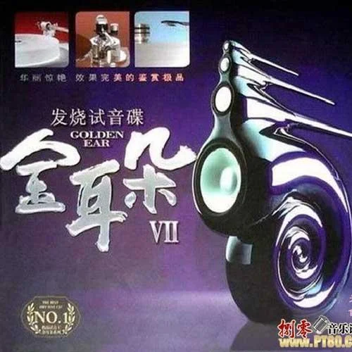 最后一班渡轮-蔡国权