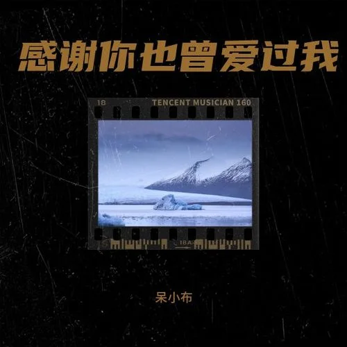 感謝你也曾愛過我-呆小布