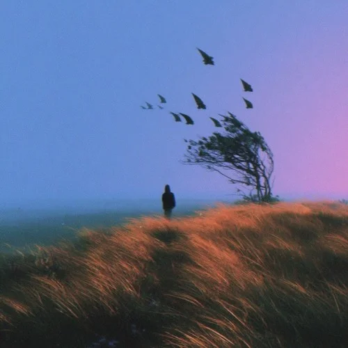 風(fēng)的季節(jié) ((老舅funk))-周菲杰