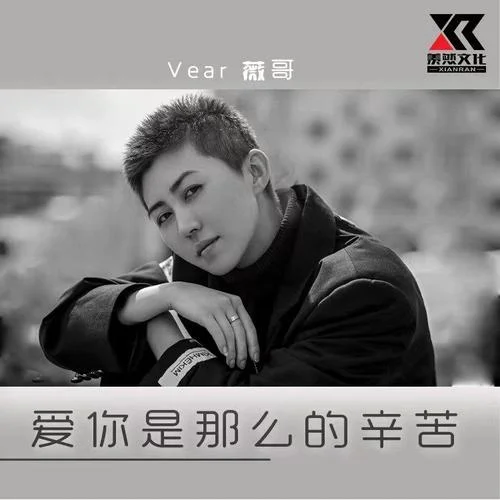 愛你是那么的辛苦-Vear薇哥