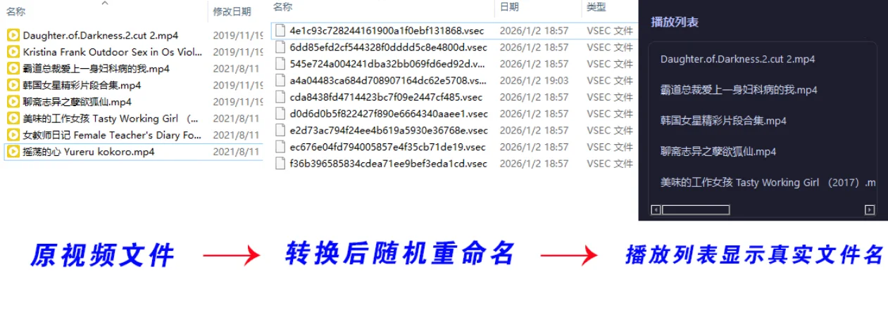 老司機(jī)隱私播放器SecureVault Player V0.8.9