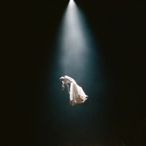 past life-愛莉安娜·格蘭德