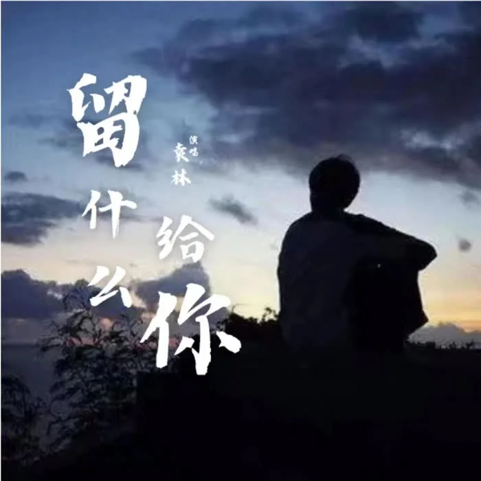 留什么給你(DJ京仔版)-袁林&DJ京仔