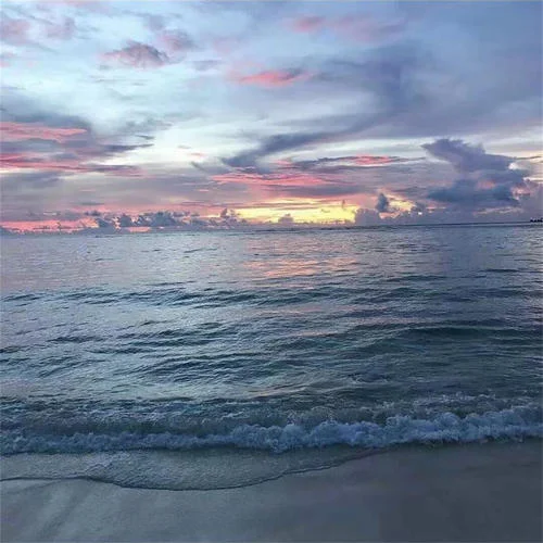 社會硬曲(dj版)-蘇果卡