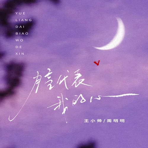 月亮代表我的心-王小帅&周明明