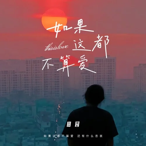 如果這都不算愛(ài) (DJ九零版)-田園