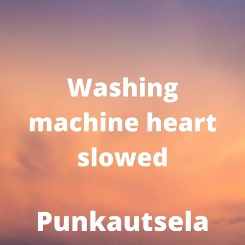 washing machine heart(slowed)-Punkautsela