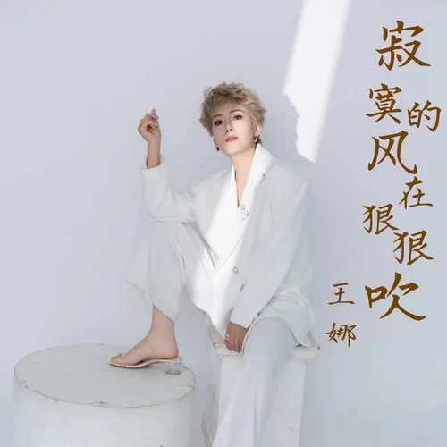 寂寞的風(fēng)在狠狠吹-王娜