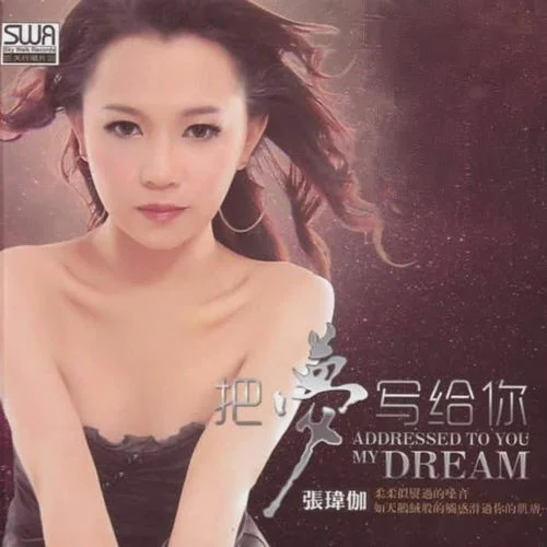 假情真爱-张玮伽