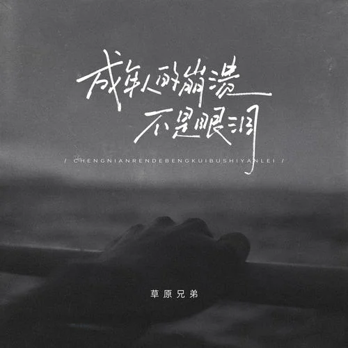 成年人的崩潰不是眼淚 (律動(dòng)版)-草原兄弟