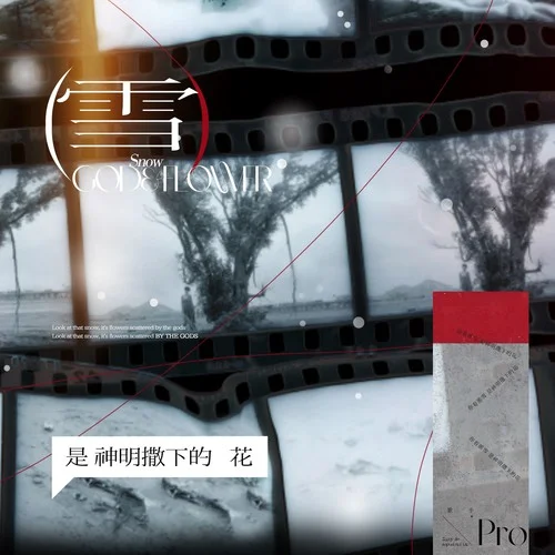 雪是神明撒下的花-pro