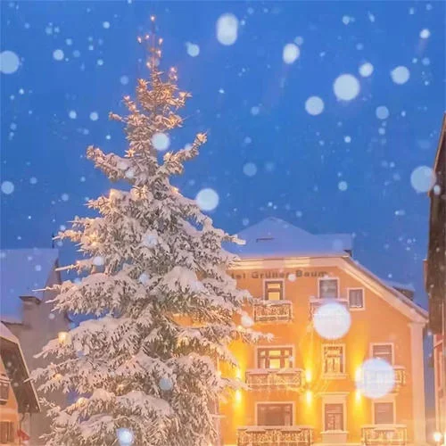 總想對(duì)你表白-揚(yáng)馨旭