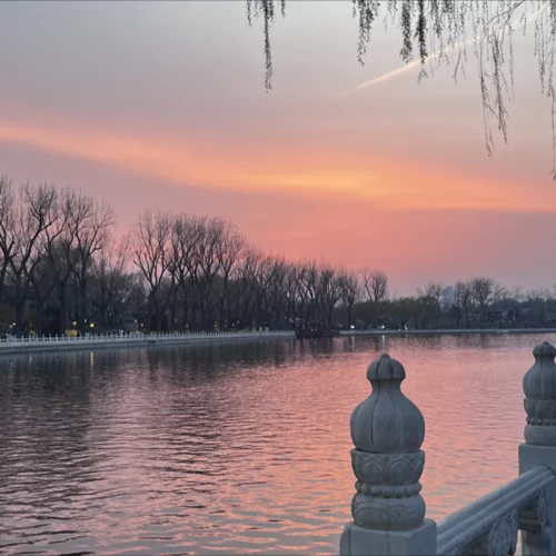 美周郎 (cover: 戚琦)-清清子