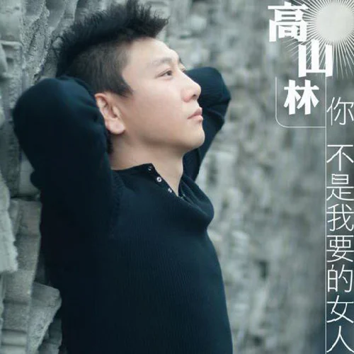 你不是我要的女人-高山林