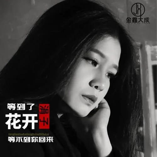 等到了花開等不到你回來-涓子