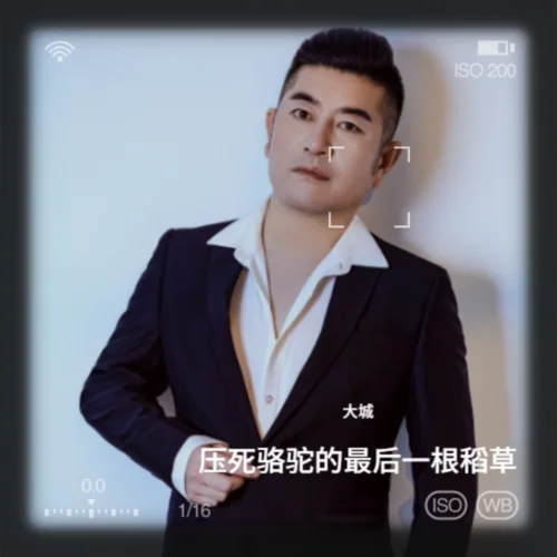 壓死駱駝的最后一根稻草-大城