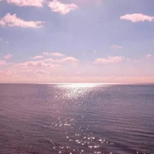 你的心有一道墻-monkey