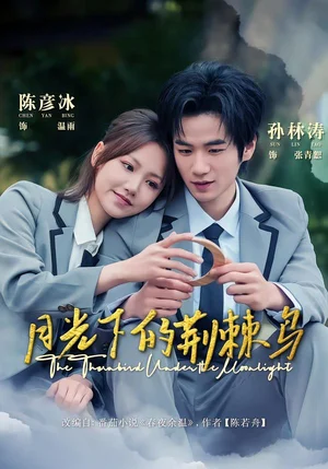 月光下的荊棘鳥(80集)陳彥冰&孫林濤 月光下的荊棘鳥(80集)陳彥冰&孫林濤 - 短劇資源下載