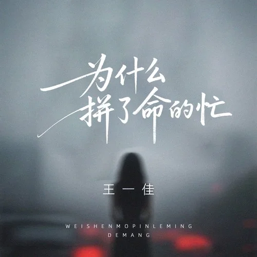 為什么拼了命的忙-王一佳