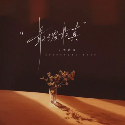 最浓最真-林韵乔