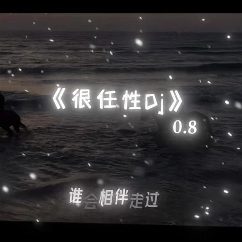 很任性DJ（0.8x）-DJ先森