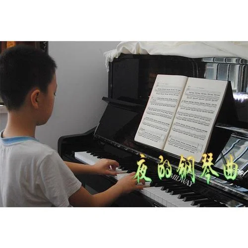 夜的鋼琴曲二-靉小玖