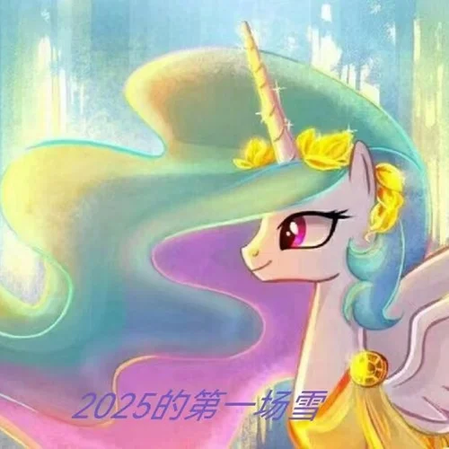 2025的第一場(chǎng)雪-宇宙公主