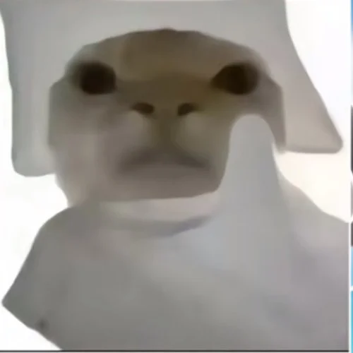 哈基米起床鬧鈴-哈基米