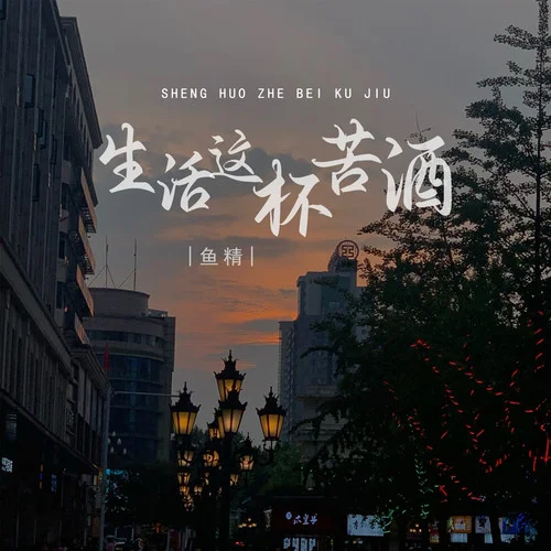 生活這杯苦酒(DJ默涵版)-魚精