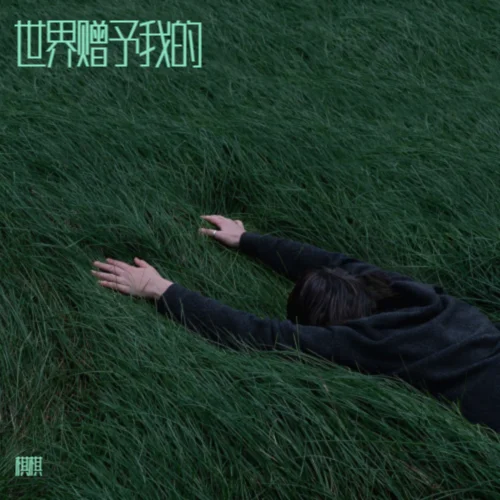 世界贈(zèng)予我的（溫柔版）-棋棋