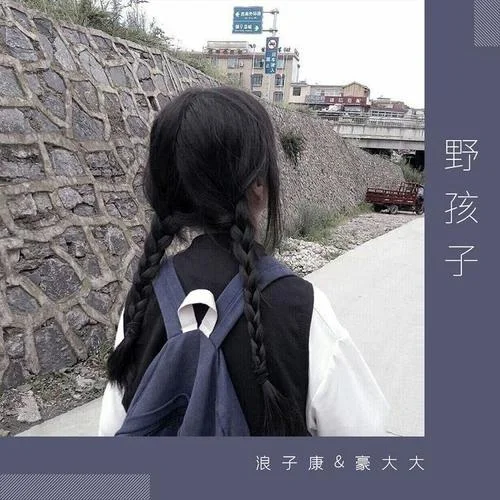 野孩子(DJ版)-浪子康&豪大大