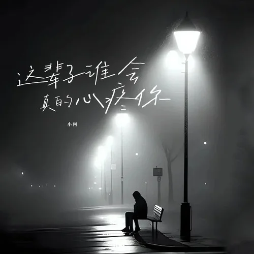 这辈子谁会真的心疼你-小何