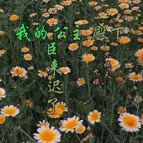 前程似錦太虛偽了-九姨&九姨夫(DJ)