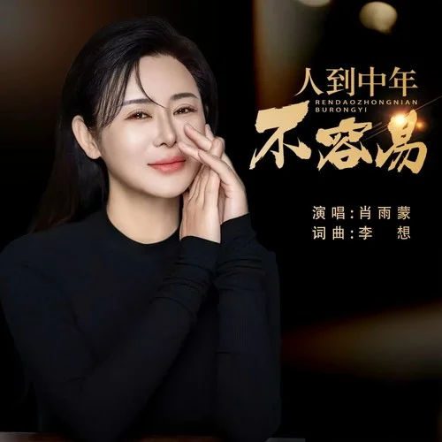 人到中年不容易(DJ阿能版)-肖雨蒙