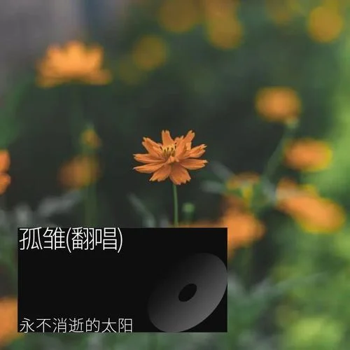 孤雛 (cover: 容祖兒|王祖藍(lán))-永不消逝的太陽