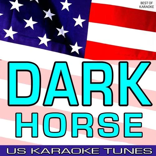 Cant Hold Us (Like the Ceiling) [Originally Performed by Macklemore & Ryan Lewis-American Karaoke Tunes