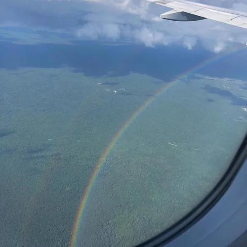 ozzie untitled bonus 13-TALKING TO GIRAFFES