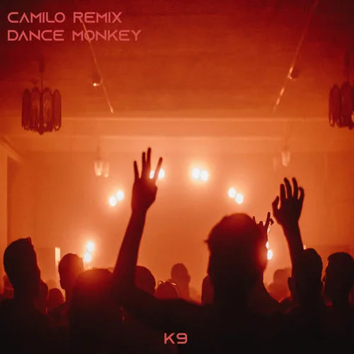 Dance Mokey-Camilo Remix