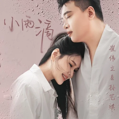 小雨滴(DJ默涵版)-崔偉立&孫藝琪