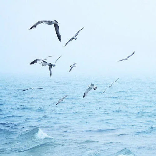 RoseASMR - Licking ur EARS for an hour Pt. 5-耳邊伴音師