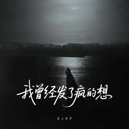 我曾經(jīng)發(fā)了瘋的想 (DJ版)-DJHP