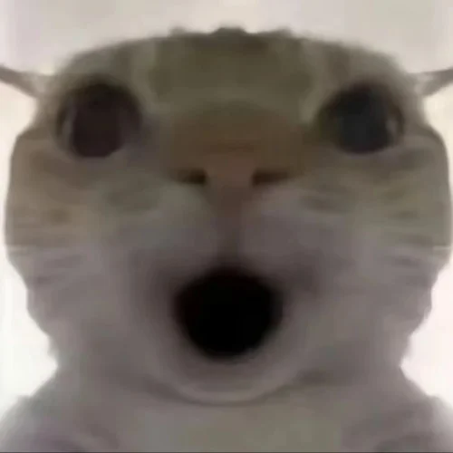 偷吃小曲-老飛宇66