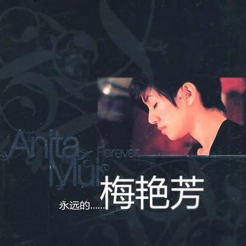 一生愛(ài)你千百回-梅艷芳