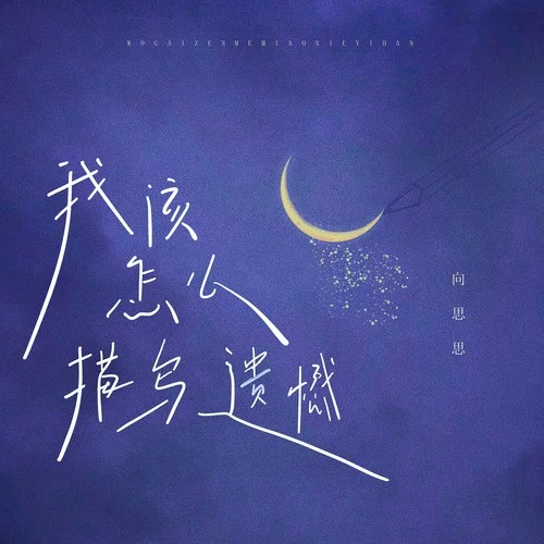 我该怎么描写遗憾-向思思