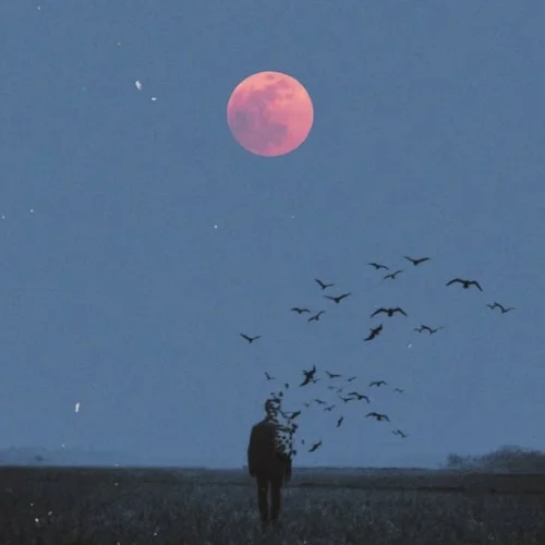 多年以后 (經(jīng)典懷舊版)-二哲